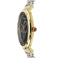 Часы Salvatore Ferragamo chic SFYH00421 фото 2