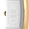 Daniel Wellington Daniel Wellington Bound Black Crocodile Gold DW00100740 , наручные женские часы фото под углом