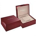 Часы Salvatore Ferragamo SFEL00419 фото 4