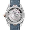 Часы Omega Seamaster Aqua Terra 220.22.41.21.03.001 фото 2
