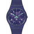 Swatch SO28V102