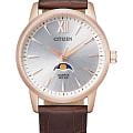 Citizen Citizen Basic Moonphase AK5003-05A  AK5003-05A кварцевые мужские часы серебристый циферблат, браслет кожаный — вид спереди