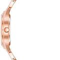 Часы Anne Klein Metals 4060RGRG фото 2