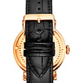 Stuhrling Stuhrling Majestic 1015.04 , наручные мужские часы фото под углом