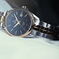 Swiss Military by Chrono Swiss Military by Chrono SMA34085.10,  швейцария мужские часы на браслете нержавеющая сталь с pvd-покрытием боковой вид