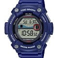 Часы Casio Collection WS-1300H-2A